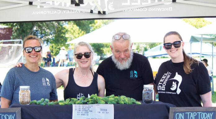 Hops n’ Barley Fest brings chill atmosphere to scorcher at Skypark