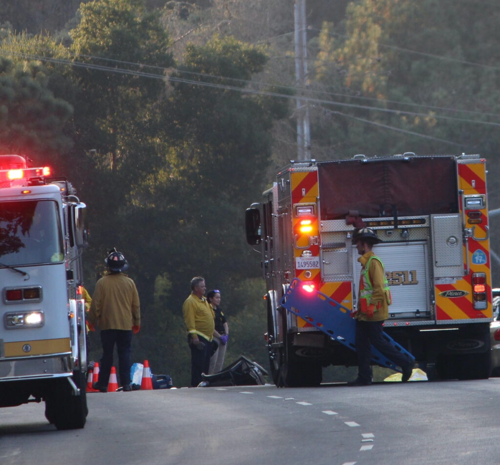 firefighters at the accident scene