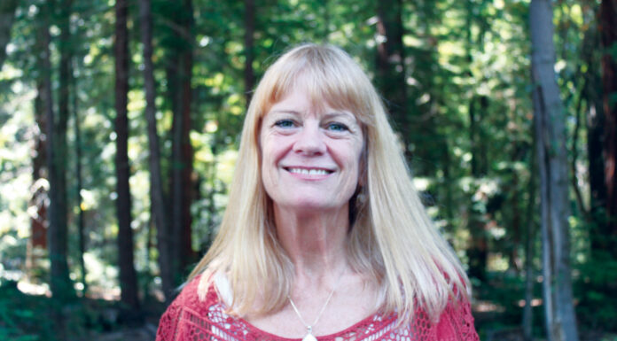 Redwood Rx: State Parks offer prescription for wellness and education