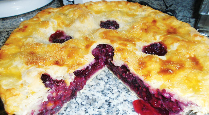 Plain Talk About Food | The Secret of Aunt Betty’s ‘Crust Dust’