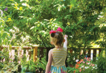 Image for display with article titled The Mountain Gardener | Kids Find Wonder in a Garden