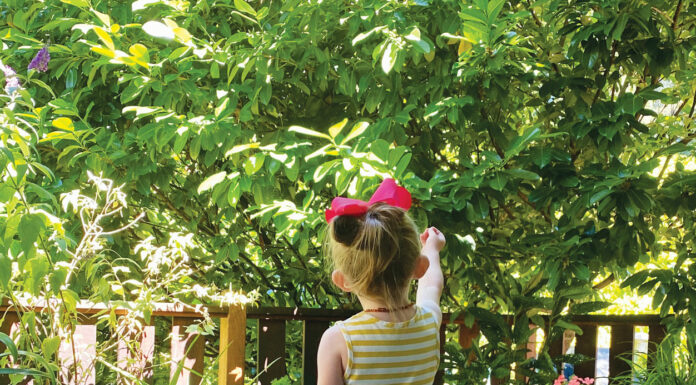The Mountain Gardener | Kids Find Wonder in a Garden