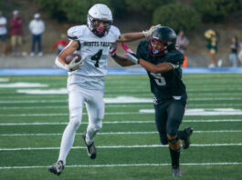 Falcons, Cougars set to kick off 2023 season | High school football