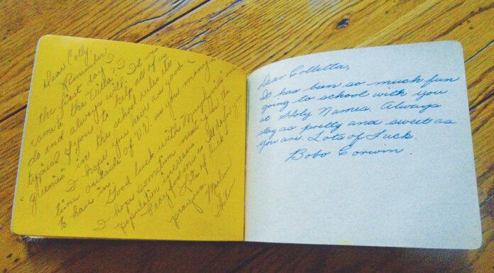 Guest Column | My Cardboard Box
