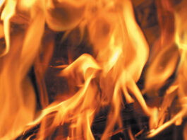 Ben Lomond Fire Protection District receives nearly $270K FEMA disaster grant Fire
