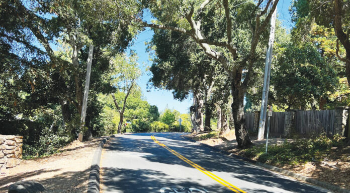 Guest Column | Scotts Valley Addresses Road Repairs