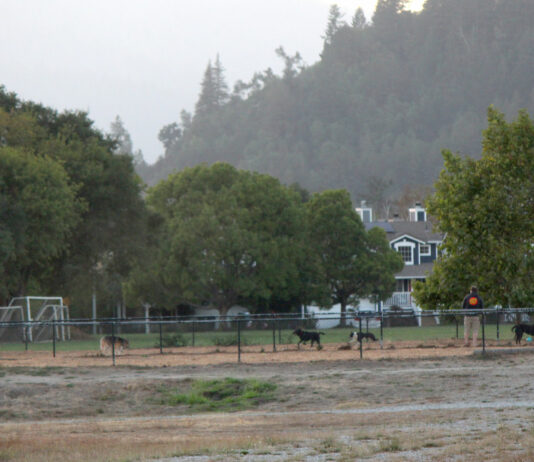 Scotts Valley agrees to fund quarter-million-dollar Skypark detoxification