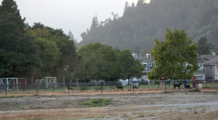 Scotts Valley agrees to fund quarter-million-dollar Skypark detoxification