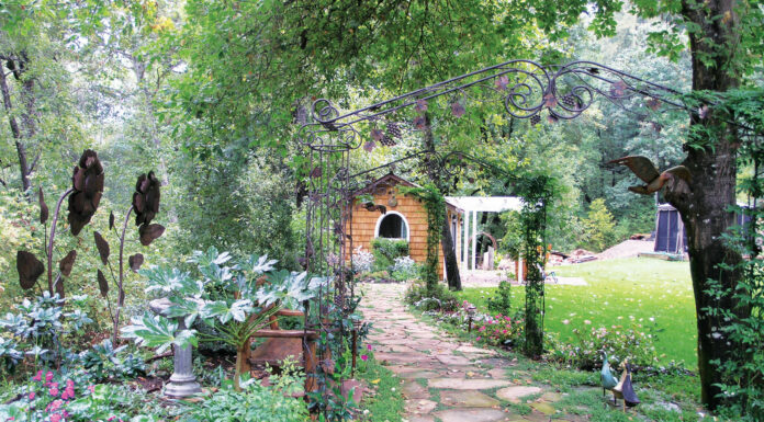 The Mountain Gardener | How to Improve Your Garden