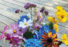 Image for display with article titled The Mountain Gardener | The Best Cut Flowers from the Garden