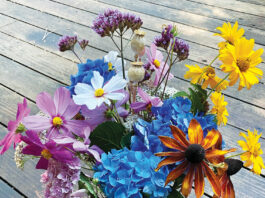 The Mountain Gardener | The Best Cut Flowers from the Garden