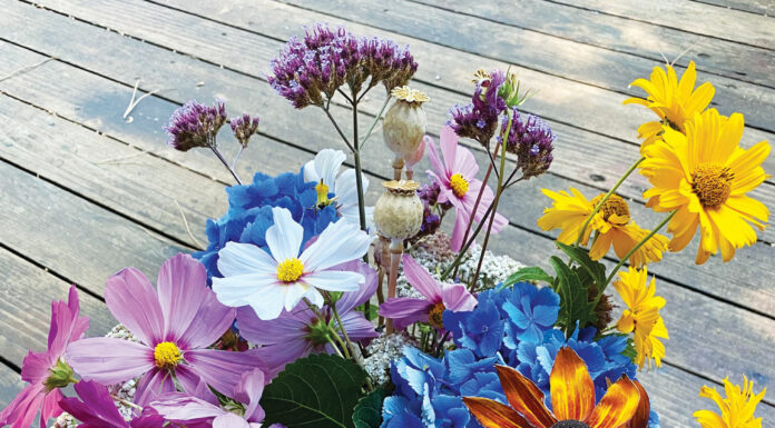 The Mountain Gardener | The Best Cut Flowers from the Garden