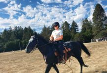 Image for display with article titled Santa Cruz County Horsemen’s Open House showcases vibrant equine community