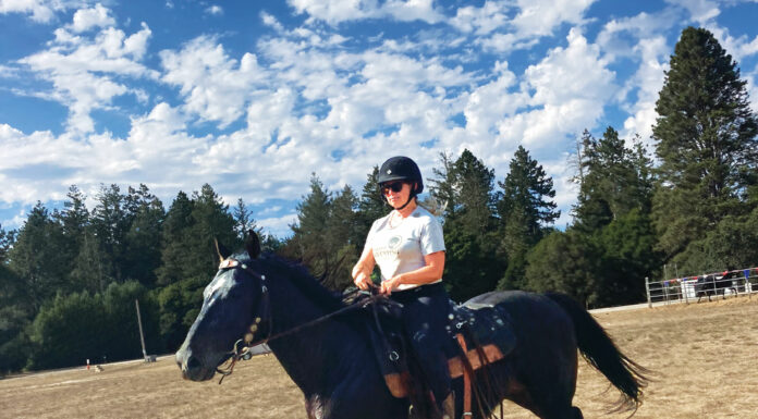 Santa Cruz County Horsemen’s Open House showcases vibrant equine community