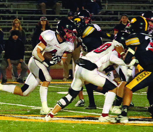 Cougars win preseason finale against Watsonville | High school football roundup