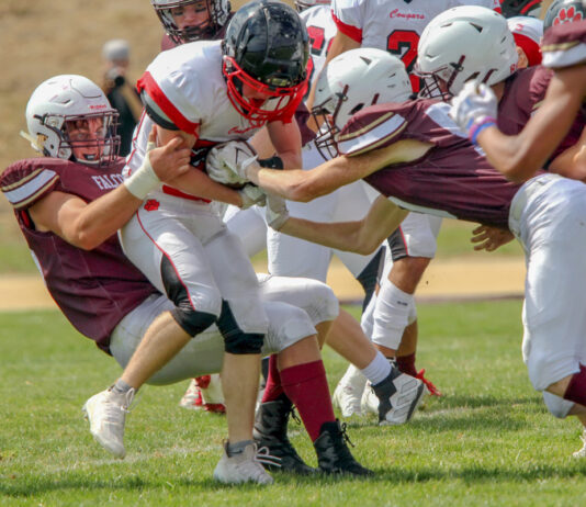 Falcons soar past Cougars to remain unbeaten | High school football