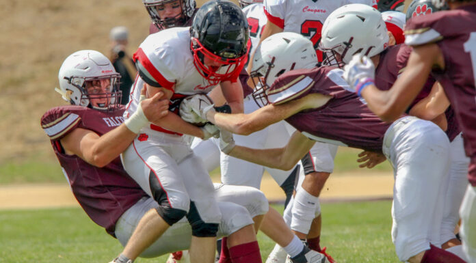 Falcons soar past Cougars to remain unbeaten | High school football