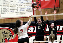 Image for display with article titled Falcons girls volleyball sweeps SLV in league action | Local roundup