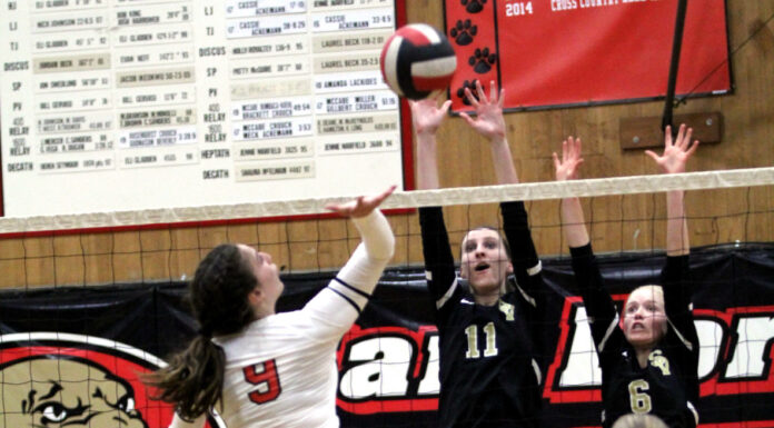 Falcons girls volleyball sweeps SLV in league action | Local roundup