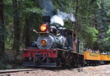 Image for display with article titled October means bluegrass music and train fun at Roaring Camp