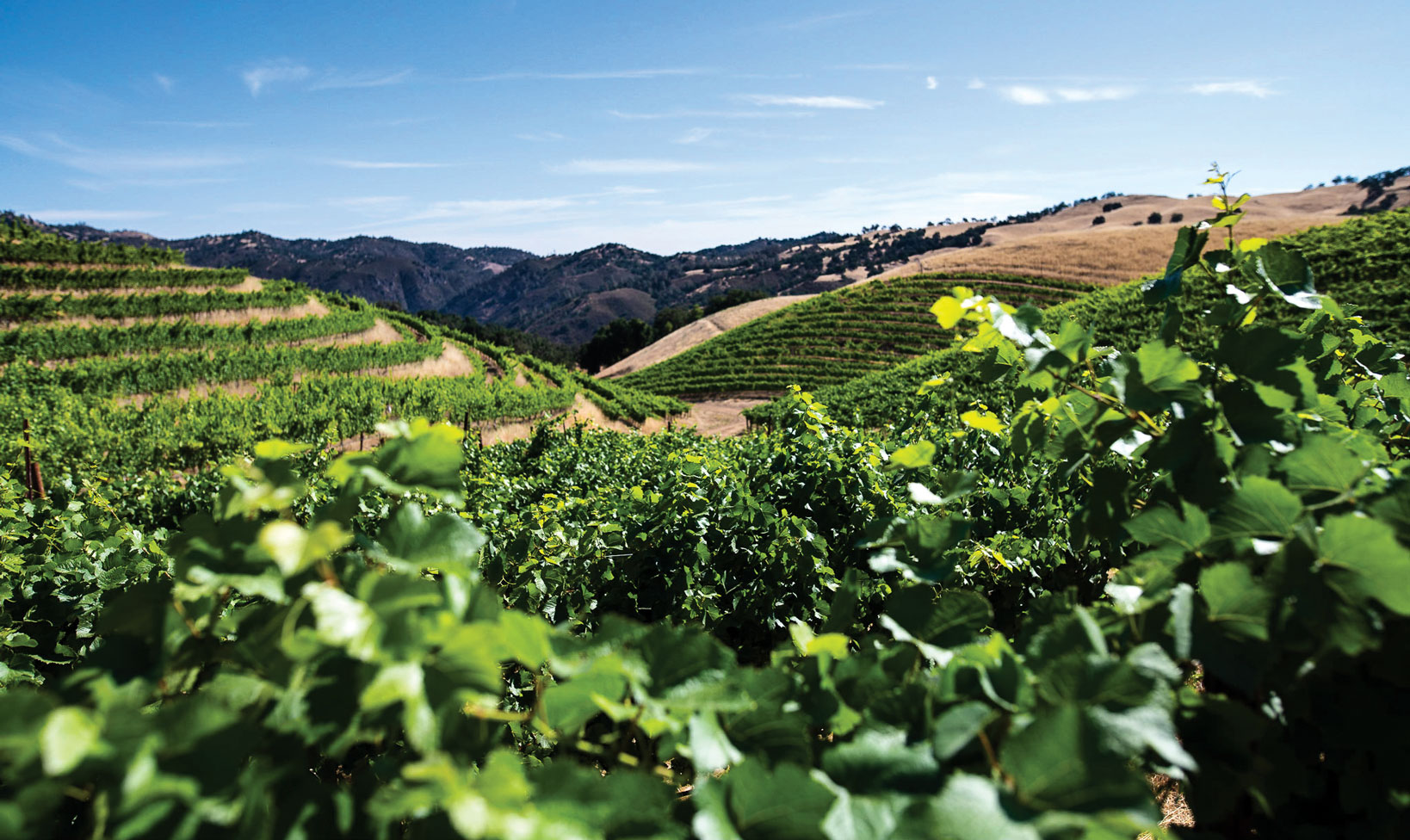 First Saison Cellar & Wine Bar to open in Scotts Valley this month