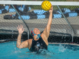 Seahawks return to the pool with a vengeance | Women’s water polo