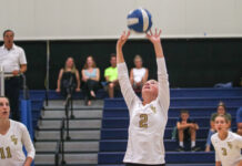 Image for display with article titled Falcons girls volleyball hangs tough in loss to Harbor | Local roundup