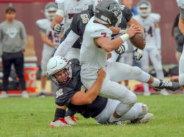 Falcons roll, Cougars fall short | Local roundup
