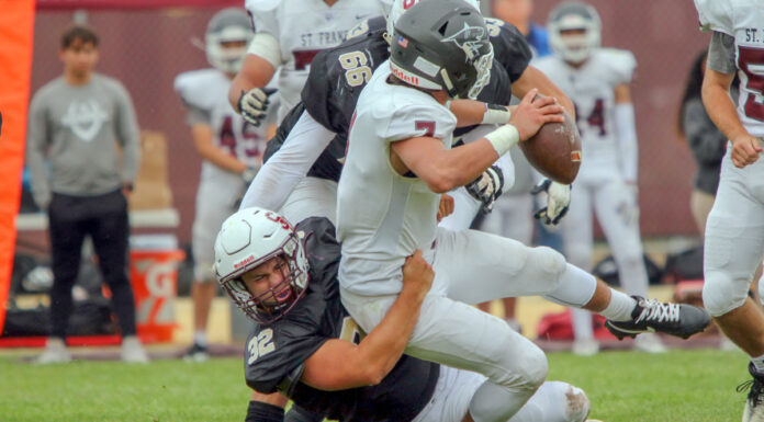 Falcons roll, Cougars fall short | Local roundup