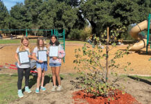 Image for display with article titled Guest Column | Scotts Valley is Blessed with Community Volunteers