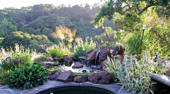 The Mountain Gardener | Awesome Grasses