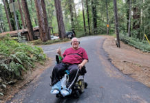 Image for display with article titled Guest View | A Log in the Forest