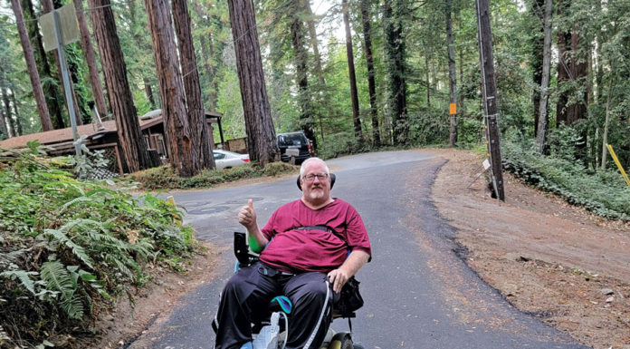 Guest View | A Log in the Forest