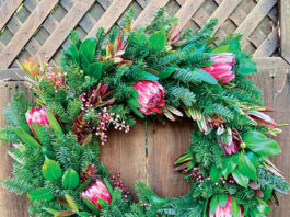 The Mountain Gardener | Make Your Own Holiday Wreath