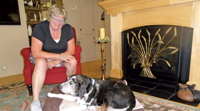 Guest Column | A Dog Named Hula