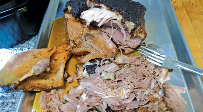 Plain Talk About Food | If Only…