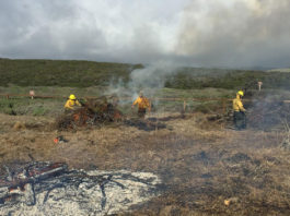 California State Parks begins pile burning through April State Parks pile burn