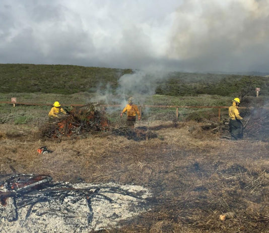 California State Parks begins pile burning through April State Parks pile burn