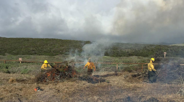 California State Parks begins pile burning through April State Parks pile burn