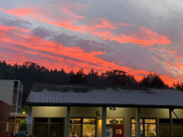 Cases of sexual misconduct still plague San Lorenzo Valley Unified School District San Lorenzo Valley Unified School District