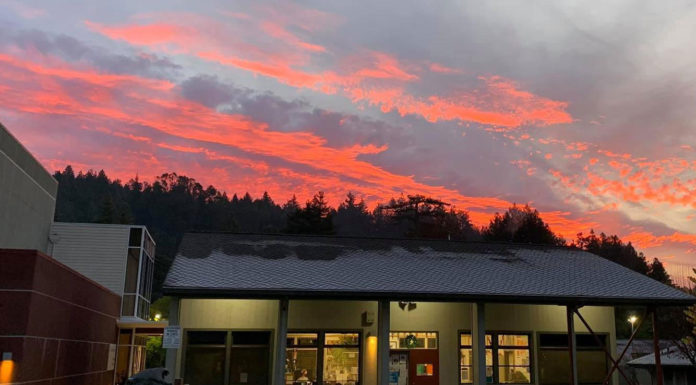 Cases of sexual misconduct still plague San Lorenzo Valley Unified School District San Lorenzo Valley Unified School District