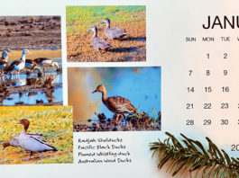 The Mountain Gardener | Thoughts for the New Year