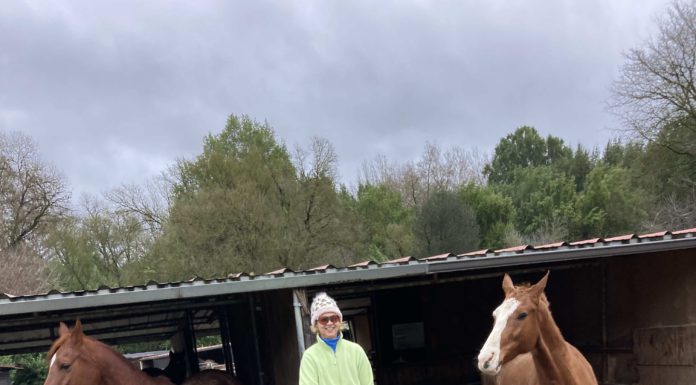 Winter storm’s bark so far worse than its bite Diane Marcel