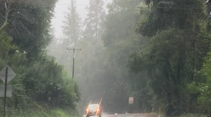 One dead after tree hits Boulder Creek home Highway 9