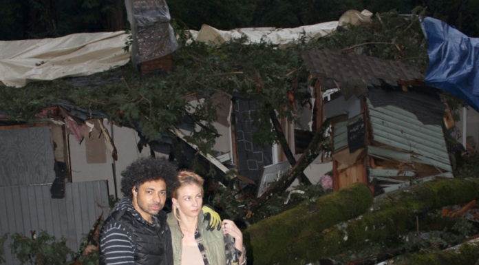 Roommates recall Boulder Creek man killed by fallen trees as quiet but generous Boulder Creek house storm