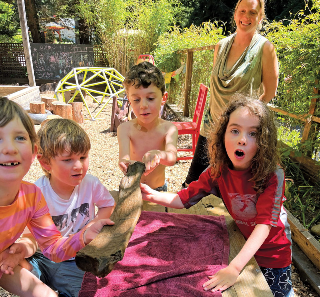 Image for display with article titled Students Find Fossil Sloth Bone in Santa Cruz Mountains