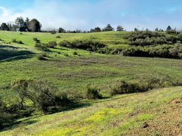 Mayor’s Message | The Bucket List—Revised Glenwood Preserve