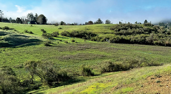 Mayor’s Message | The Bucket List—Revised Glenwood Preserve