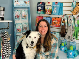 Ben Lomond dog grooming salon opens next month Hwy 9 Pet Store and Grooming