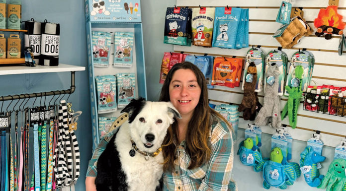 Ben Lomond dog grooming salon opens next month Hwy 9 Pet Store and Grooming